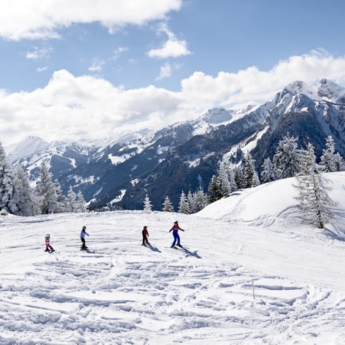 Extensive ski slopes in the middle of the beautiful mountains in the SalzburgerLand