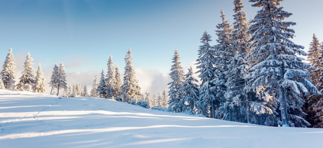 Weather in your ski holidays